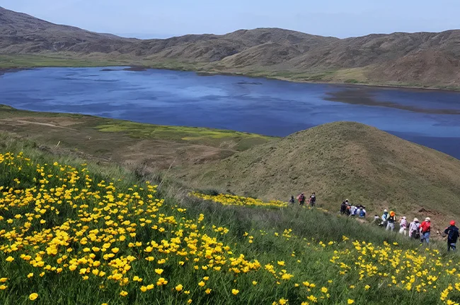 دریاچه نئور